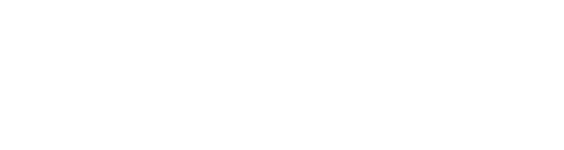 Logo Homegy white